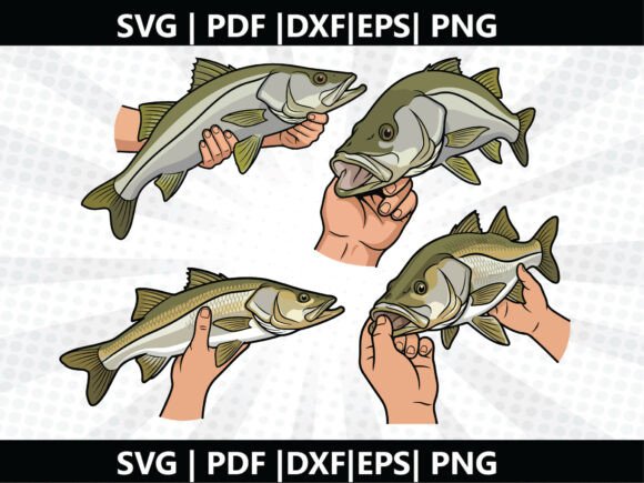 Snook Fish SVG Cricut Cut File: Graphics & Freebies for Creative Sellers